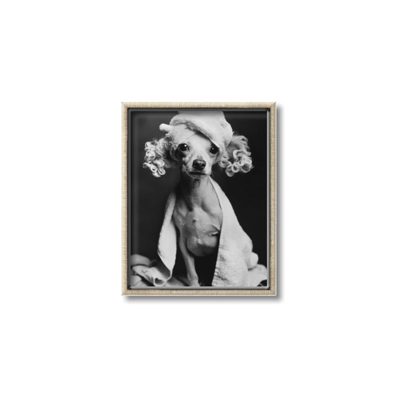 Picture of Spa Day Pooch _GroupedProduct_Rectangle_Portrait_Canvas_Framed_