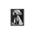 Picture of Spa Day Pooch _GroupedProduct_Rectangle_Portrait_Canvas_Framed_