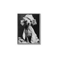 Picture of Spa Day Pooch _GroupedProduct_Rectangle_Portrait_Canvas_Framed_