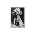 Picture of Spa Day Pooch _GroupedProduct_Rectangle_Portrait_Canvas_Framed_