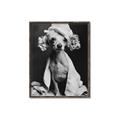 Picture of Spa Day Pooch _GroupedProduct_Rectangle_Portrait_Canvas_Framed_