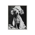 Picture of Spa Day Pooch _GroupedProduct_Rectangle_Portrait_Canvas_Framed_