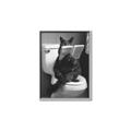 Picture of Kitty Cat Throne Room _GroupedProduct_Rectangle_Portrait_Canvas_Framed_