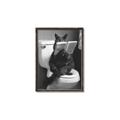 Picture of Kitty Cat Throne Room _GroupedProduct_Rectangle_Portrait_Canvas_Framed_