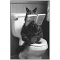 Picture of Kitty Cat Throne Room _GroupedProduct_Rectangle_Portrait_Canvas_Framed_