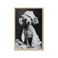 Picture of Spa Day Pooch _GroupedProduct_Rectangle_Portrait_Framed_Matted_