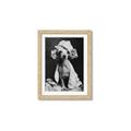 Picture of Spa Day Pooch _GroupedProduct_Rectangle_Portrait_Framed_Matted_