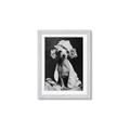 Picture of Spa Day Pooch _GroupedProduct_Rectangle_Portrait_Framed_Matted_