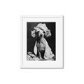 Picture of Spa Day Pooch _GroupedProduct_Rectangle_Portrait_Framed_Matted_