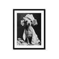 Picture of Spa Day Pooch _GroupedProduct_Rectangle_Portrait_Framed_Matted_