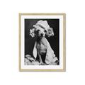 Picture of Spa Day Pooch _GroupedProduct_Rectangle_Portrait_Framed_Matted_