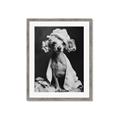 Picture of Spa Day Pooch _GroupedProduct_Rectangle_Portrait_Framed_Matted_
