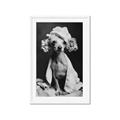 Picture of Spa Day Pooch _GroupedProduct_Rectangle_Portrait_Framed_Matted_