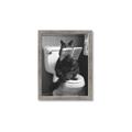 Picture of Kitty Cat Throne Room _GroupedProduct_Rectangle_Portrait_Framed_Matted_