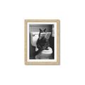 Picture of Kitty Cat Throne Room _GroupedProduct_Rectangle_Portrait_Framed_Matted_