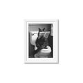 Picture of Kitty Cat Throne Room _GroupedProduct_Rectangle_Portrait_Framed_Matted_