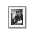 Picture of Kitty Cat Throne Room _GroupedProduct_Rectangle_Portrait_Framed_Matted_
