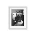 Picture of Kitty Cat Throne Room _GroupedProduct_Rectangle_Portrait_Framed_Matted_