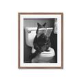 Picture of Kitty Cat Throne Room _GroupedProduct_Rectangle_Portrait_Framed_Matted_