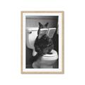 Picture of Kitty Cat Throne Room _GroupedProduct_Rectangle_Portrait_Framed_Matted_