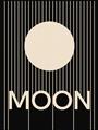 Picture of Moon Typography Poster _GroupedProduct_Rectangle_Portrait_Unframed_Print_Only_