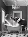 Picture of Joyful Elephant Bath Time _GroupedProduct_Rectangle_Portrait_Unframed_Print_Only_