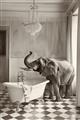 Picture of Luxuary Elephant _GroupedProduct_Rectangle_Portrait_Unframed_Print_Only_