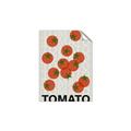 Picture of Tomato Poster _GroupedProduct_Rectangle_Portrait_Unframed_Print_Only_