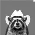 Picture of Wyatt The Cowboy Raccoon _GroupedProduct_Square_Unframed_Print_Only_