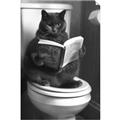 Picture of Plus Size Kitty on the Loo _GroupedProduct_Rectangle_Portrait_Unframed_Print_Only_