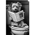 Picture of Potty Pooch _GroupedProduct_Rectangle_Portrait_Unframed_Print_Only_