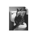 Picture of Kitty Cat Throne Room _GroupedProduct_Rectangle_Portrait_Unframed_Print_Only_