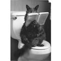 Picture of Kitty Cat Throne Room _GroupedProduct_Rectangle_Portrait_Unframed_Print_Only_