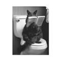 Picture of Kitty Cat Throne Room _GroupedProduct_Rectangle_Portrait_Unframed_Print_Only_