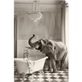 Picture of Luxuary Elephant _GroupedProduct_Rectangle_Portrait_Unframed_Print_Only_