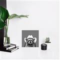 Picture of Wyatt The Cowboy Raccoon _GroupedProduct_Square_Canvas_
