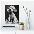 Picture of Spa Day Pooch _GroupedProduct_Rectangle_Portrait_Canvas_