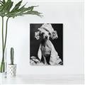 Picture of Spa Day Pooch _GroupedProduct_Rectangle_Portrait_Canvas_