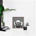 Picture of Wyatt The Cowboy Raccoon _GroupedProduct_Square_Canvas_Framed_