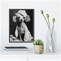 Picture of Spa Day Pooch _GroupedProduct_Rectangle_Portrait_Canvas_Framed_