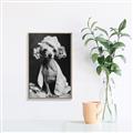 Picture of Spa Day Pooch _GroupedProduct_Rectangle_Portrait_Canvas_Framed_