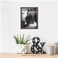 Picture of Kitty Cat Throne Room _GroupedProduct_Rectangle_Portrait_Canvas_Framed_