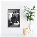 Picture of Kitty Cat Throne Room _GroupedProduct_Rectangle_Portrait_Canvas_Framed_