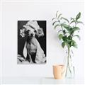 Picture of Spa Day Pooch _GroupedProduct_Rectangle_Portrait_Unframed_Print_Only_