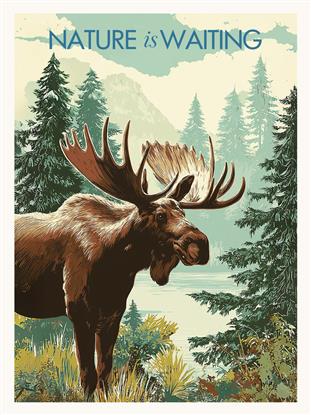 Picture of Nature is Waiting