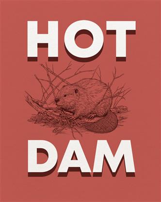 Picture of Hot Dam