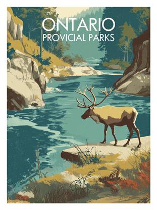 Picture of True North Trails