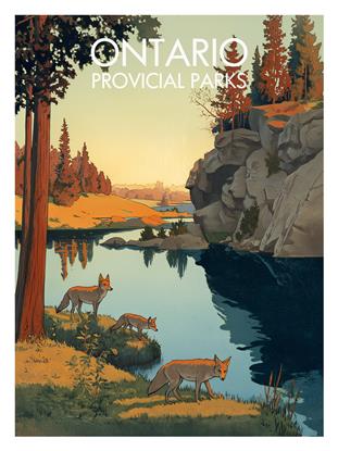 Picture of The Provincial Wild