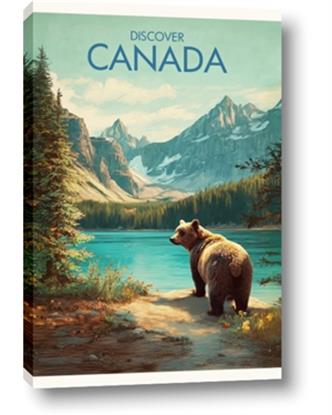 Picture of Canadian Brown Bear