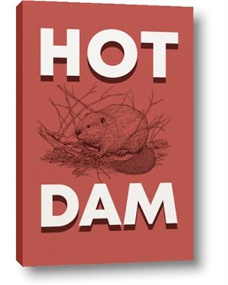 Picture of Hot Dam